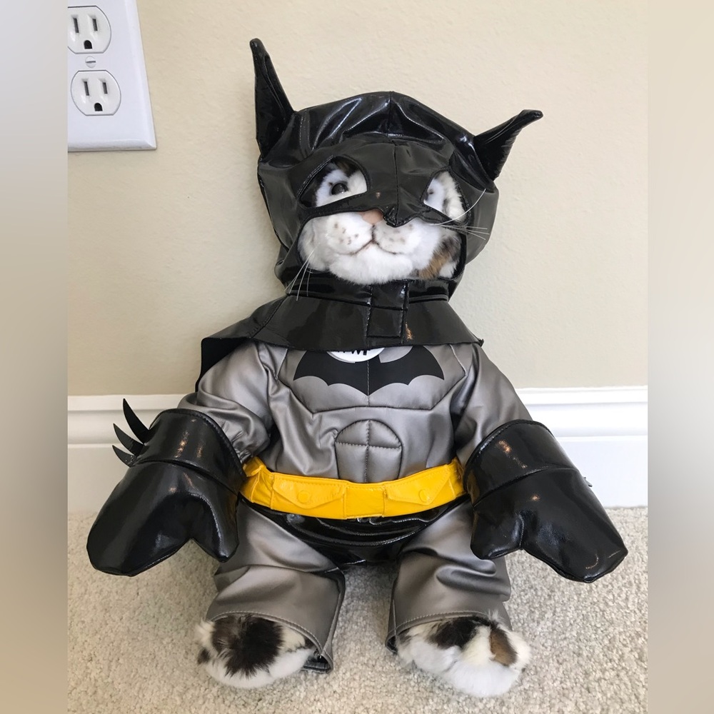 Build A Bear Wildlife Snow Leopard in Batman Costume
